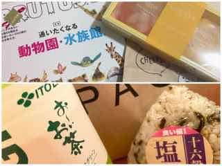 image1.jpeg
